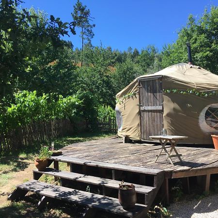 Star Gazing Luxury Yurt With River Views, Off Grid Eco Living Vale do Barco Exterior photo